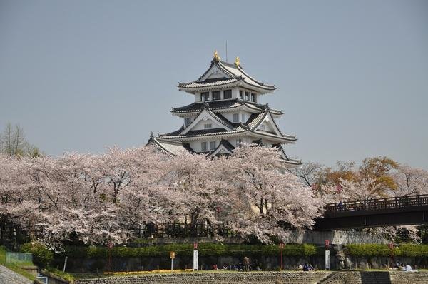 🏯 스노마타 하룻밤의 성(스노마타 이치야조) (오가키시 스노마타 역사자료관) 이미지 2